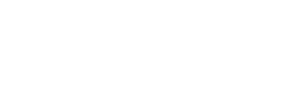 SLB Logo reversed